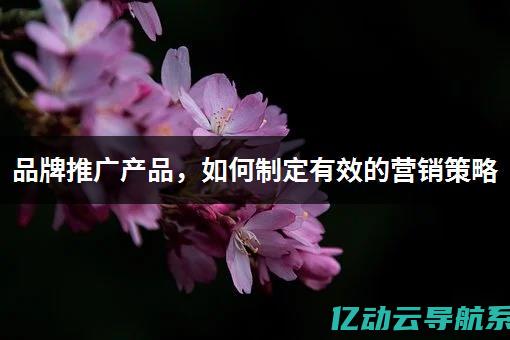 如何制定有效的OKR课后测试答案 (如何制定有效的网站建设策略？)