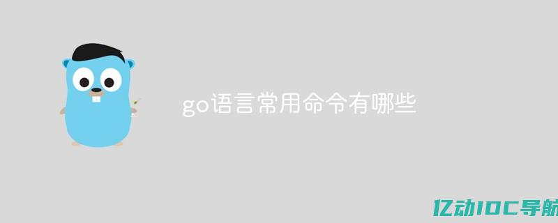 如何使用googleplay服务 (如何使用Godaddy注册域名：详细教程)