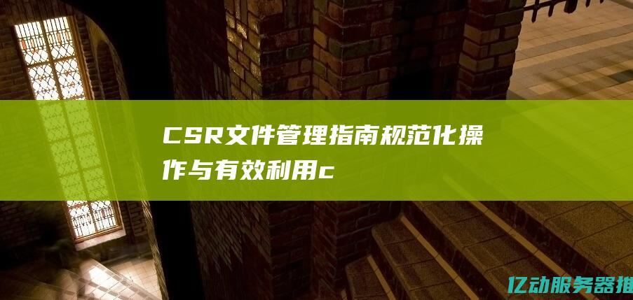 CSR文件管理指南：规范化操作与有效利用(csr 文件)