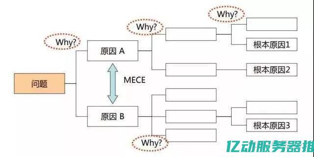 全面解析不同类型的服务器租赁方案，选择最适合您的业务需求</ (全面解析不同的例子)