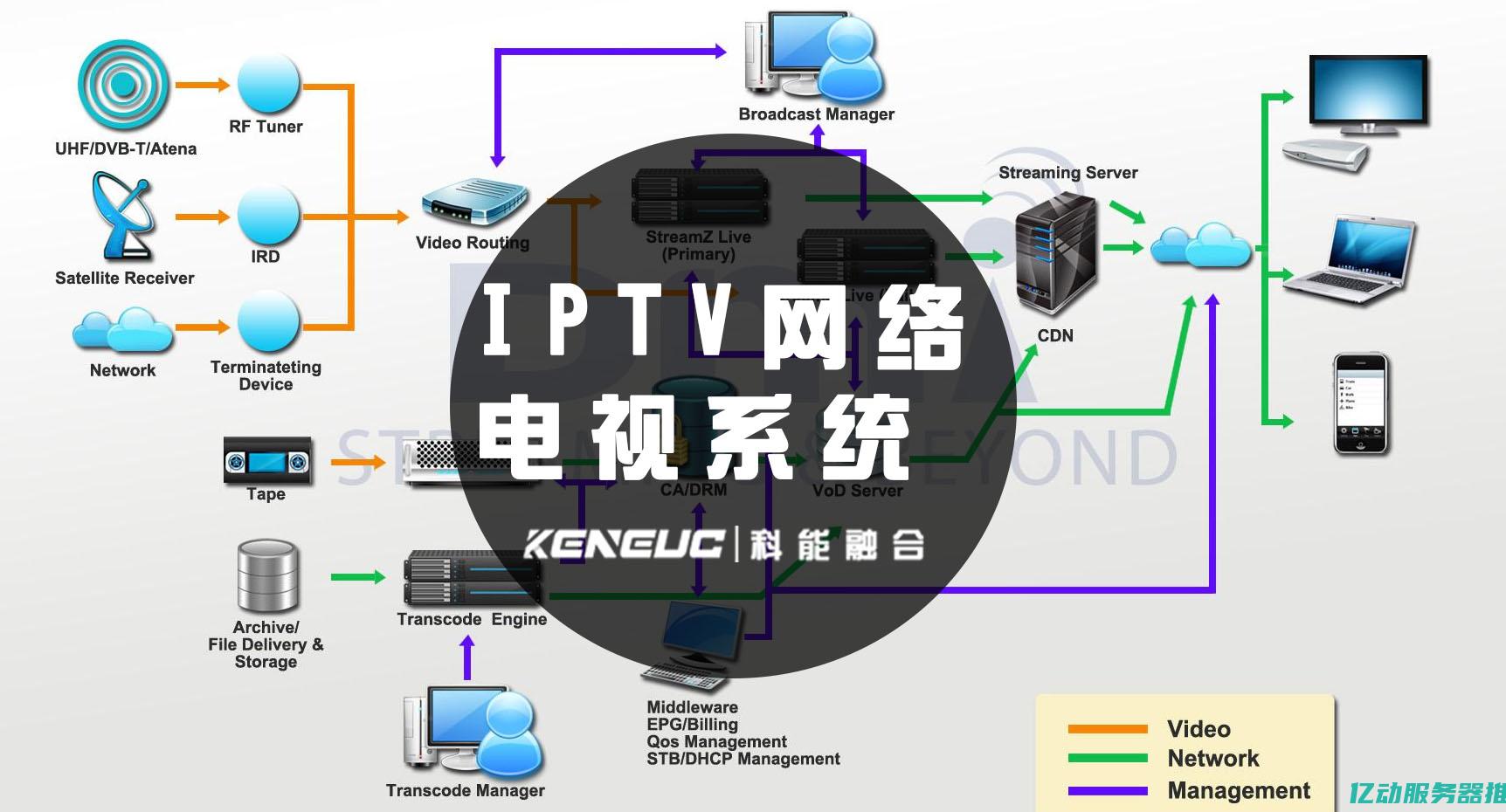 选择最适合您的域名注册网站：了解各大平台的优势与特点 (选择最适合您的计划)