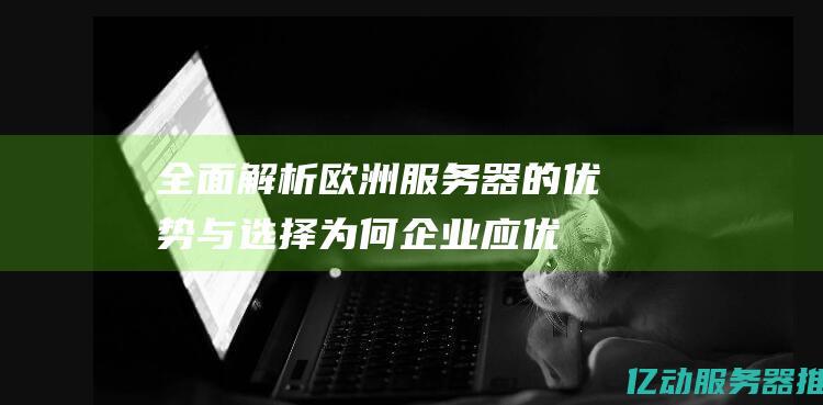 全面解析欧洲服务器的优势与选择：为何企业应优先考虑欧洲数据中心 (欧洲方面)