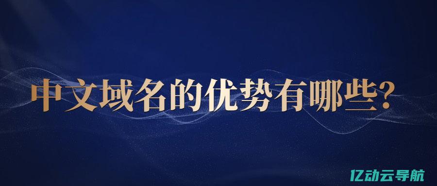 了解中文域名费用结构：注册成本、维护费用及其对企业的影响 (了解中文域名的方法)