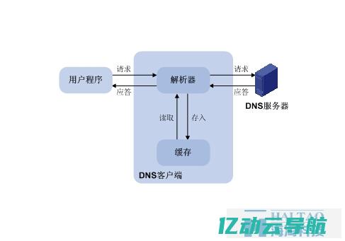 揭秘泛域名的优势与挑战：在数字时代构建更强大在线品牌的关键 (泛域名有什么用)