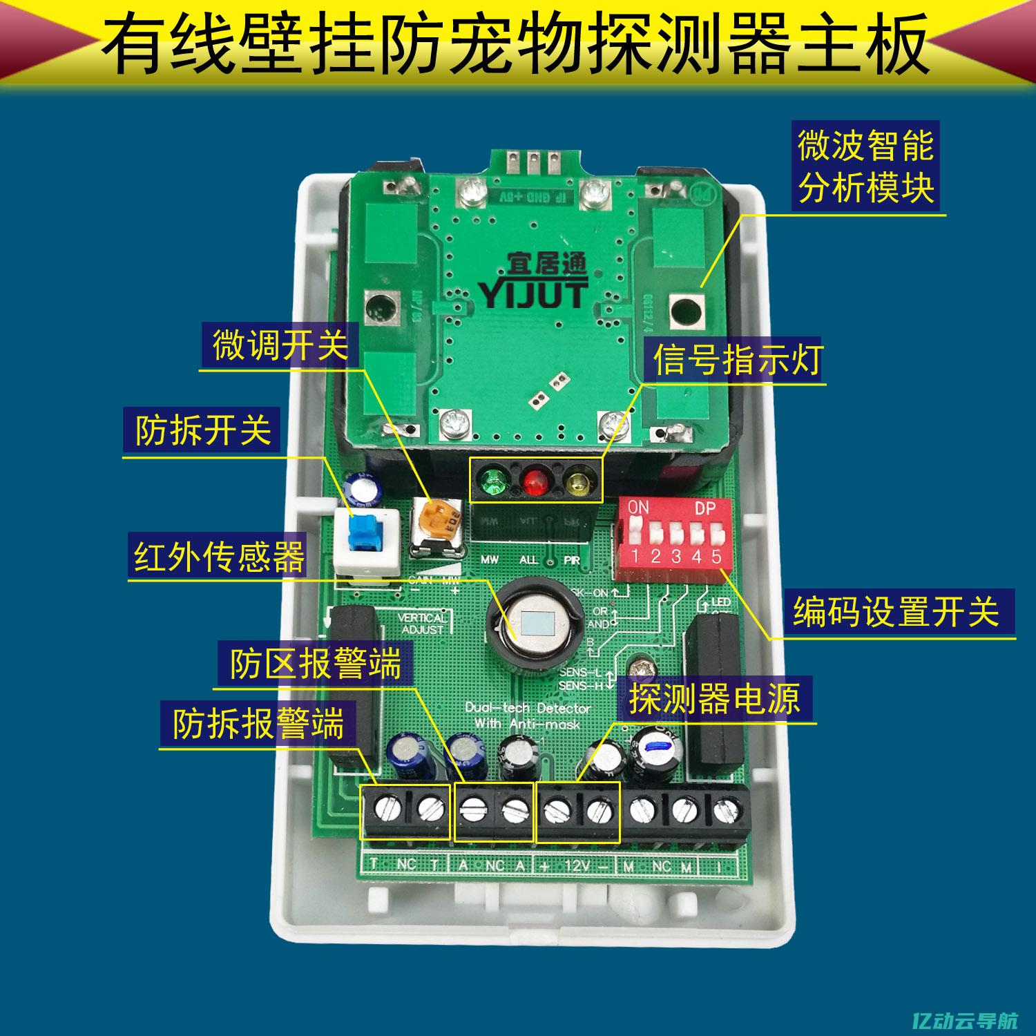 探索双线双IP技术的应用潜力与未来发展趋势 (双线线索是什么)