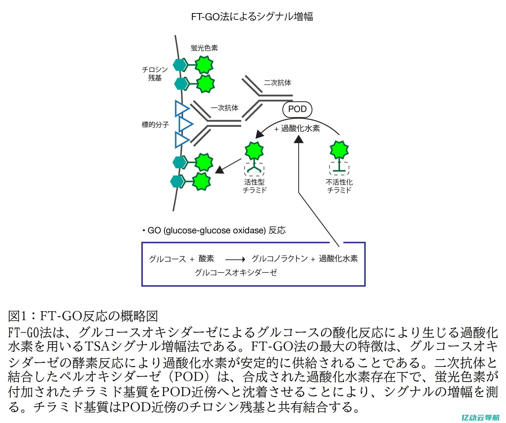 使用 GoDaddy 免费空间，享受便捷的网络托管服务，助您快速上线项目 (使用goldwave进行对音频音量大小进行处理时)