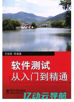 从入门到精通：代理服务器设置指南，助您轻松翻越网络限制 (从入门到精通的开荒生活)