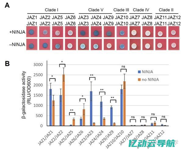 深入探讨Java服务器的架构设计与性能优化：构建高效可靠的应用程序解决方案 (深入探讨Java wed技术及其开发的实际应用)