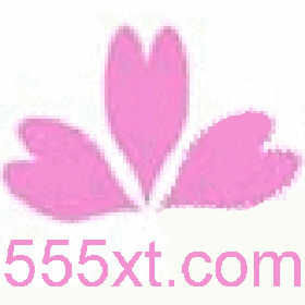 心跳网络 www.555xt.com