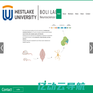 BOLI Lab - Neuroscience Lab - Westlake University