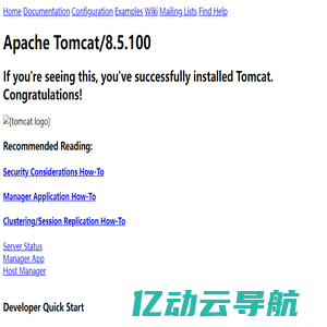 Apache Tomcat/8.5.100