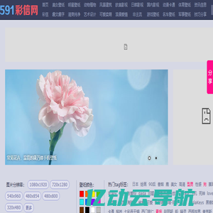 591彩信网_手机彩信，手机壁纸大全