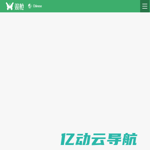 双枪科技股份有限公司