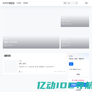 Codecho – 又一个WordPress站点