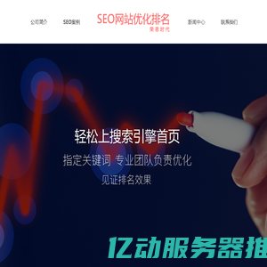 专业seo网站优化公司_北京荣恩时代网站优化公司