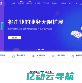 维特网络 - 专注高端网站建设|互联网营销推广|新媒体广告服务商