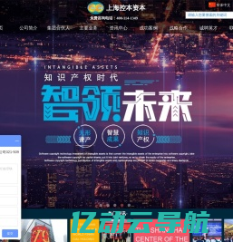 上海控本企业管理有限公司-专业辅导上市，无形资产出资