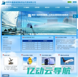 鑫嘉坡国际货运代理有限公司、以专业成就您的无限需求