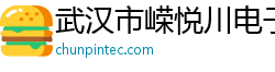 武汉市嵘悦川电子科技有限公司