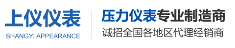 上仪仪表制造_上仪仪表制造(江苏)有限公司