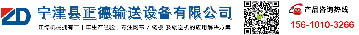 链板输送机,网带输送机,鳞板输送机,提升机,不锈钢链板,非标链条-宁津县正德输送设备有限公司