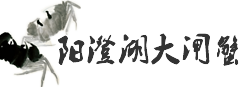 [阳澄湖大闸蟹专卖店商城]_专业提供阳澄湖大闸蟹礼券,礼盒销售,价格优惠