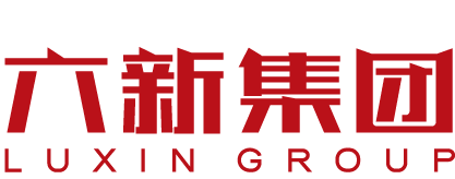 安徽六新国有投资控股集团有限公司