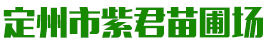 定州市紫君苗圃场_定州市紫君苗圃场