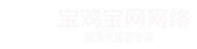 宝鸡宝网网络_专注于宝鸡网站建设_宝鸡网站制作_宝鸡小程序开发