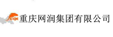 重庆网润集团有限公司