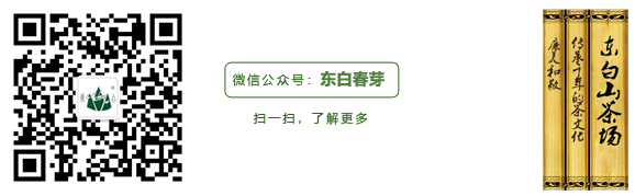 浙江省东阳市东白山浙江省东阳市东白山茶业有限责任公司|东白春芽|东白茶|东阳茶场|中国中国有机茶工厂|中国优质的茶叶生成供应商业有限责任公司