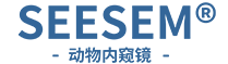 动物内窥镜,宠物内窥镜,动物医疗内镜,宠物医疗内镜_SEESEM西森姆