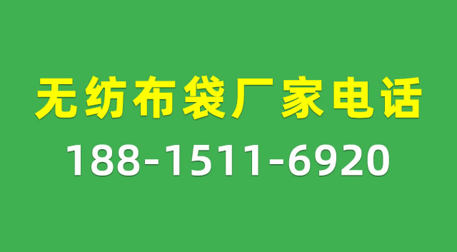 环保袋厂家_帆布袋定制_购物袋批发_无纺布袋 - 龙港市君实制袋厂