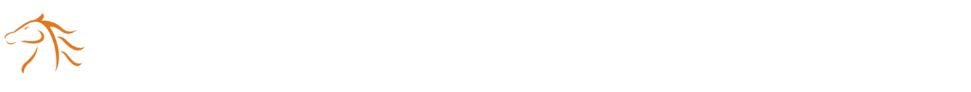 新疆伍贰零信息科技发展有限公司