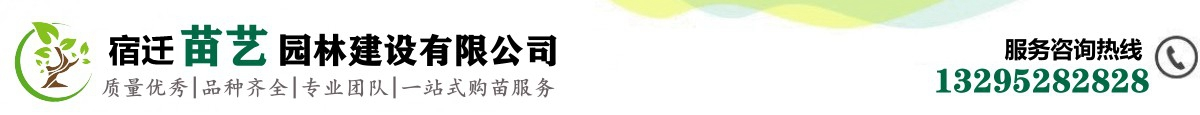 苗木批发基地_绿化公司_提供苗木报价_品种名称图片查询-宿迁苗艺园林