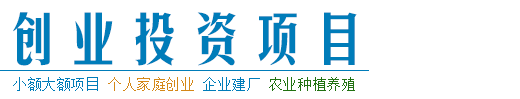 创业项目：小额投资商机，个人创业，家庭生意，农村养殖农业种植门路，企业建厂生产加工