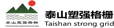 拼接格栅_地格栅_洗车格栅生产厂家-枣庄山亭鑫源塑强塑业有限公司