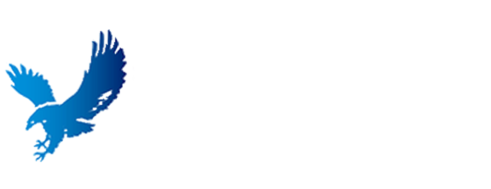 山西双鹰药业有限公司