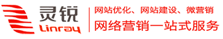 武汉网站优化推广_seo优化公司_关键词排名优化_【武汉灵锐互动网络有限公司】