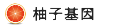 DNA亲子鉴定中心_DNA基因检测_价格费用透明_注重隐私-柚子基因