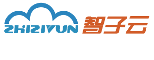 智子云|数智人解决方案代理加盟/信息流广告代理加盟/个性化推荐服务/数据中台解决方案